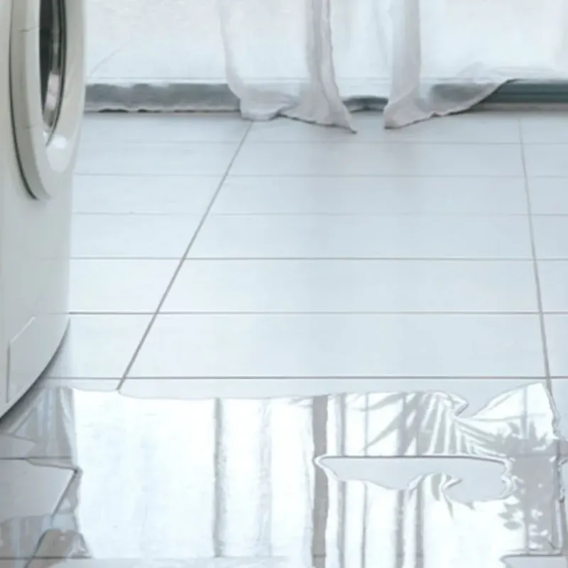 Appliance Leak Cleanup in Chauncey, OH