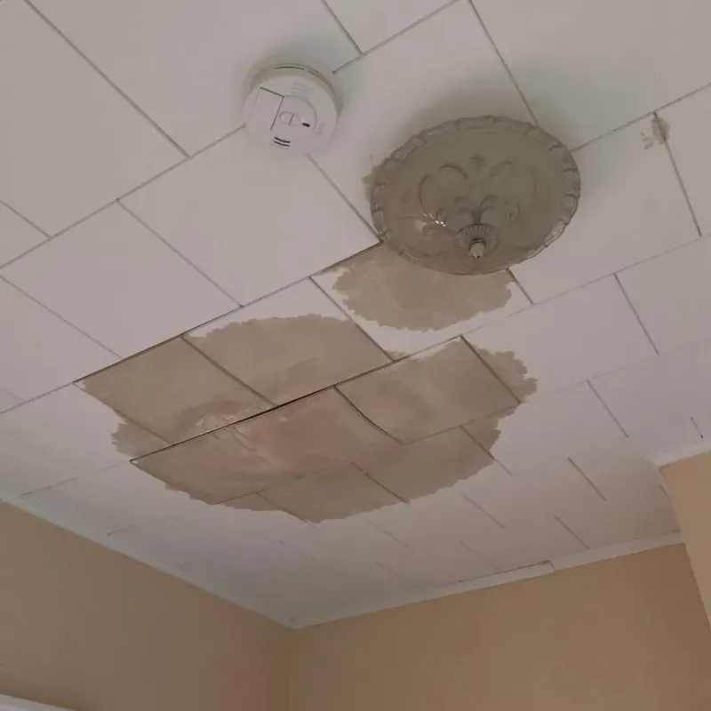 Ceiling Water Damage Repair in Chauncey, OH