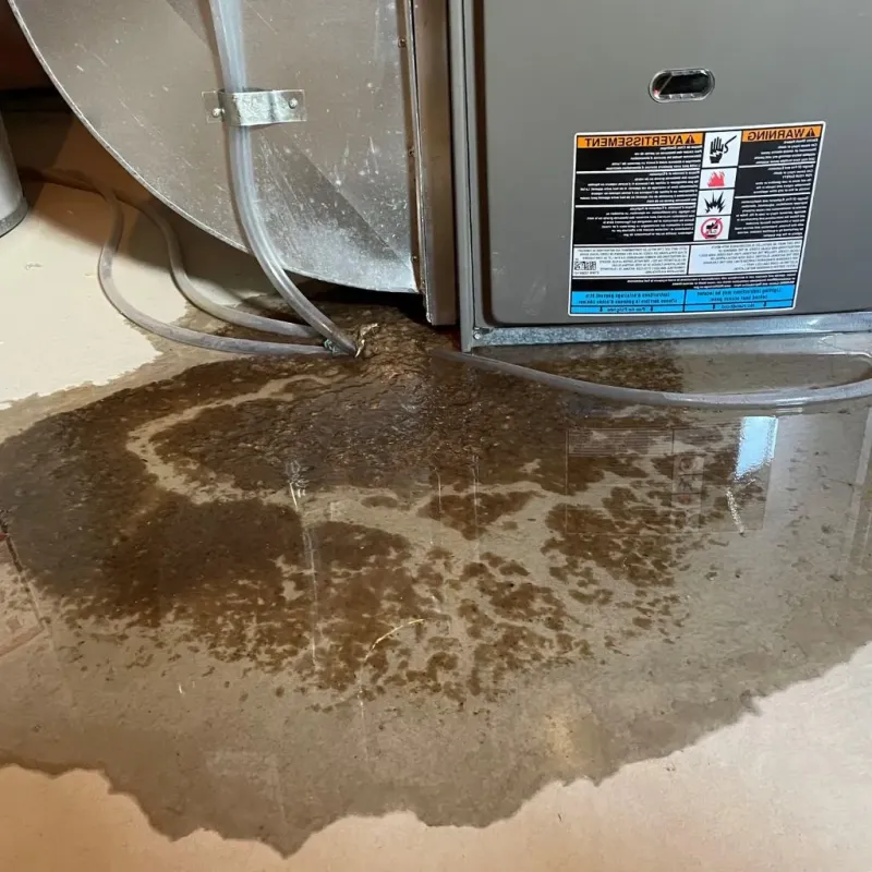 Pipe Burst and Leak Restoration in Chauncey, OH