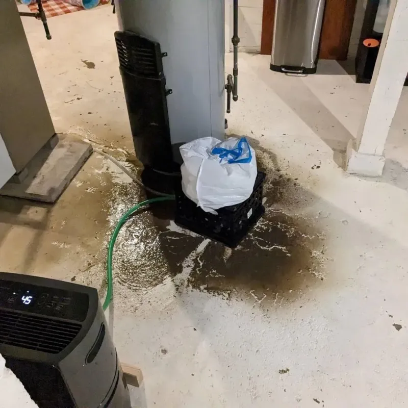 Sewage Backup Cleanup Service in Chauncey, OH